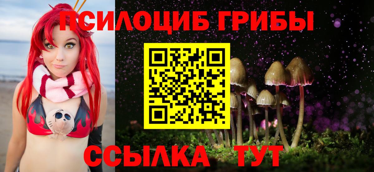 Галлюциногенные грибы GOLDEN TEACHER Бийск