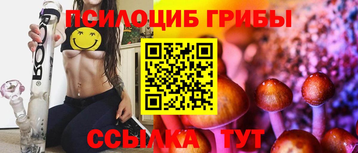 Псилоцибиновые грибы Cubensis  наркота  Бийск  Вход с VPN  Псилоцибиновые грибы мухоморы 